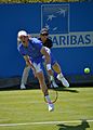 Denis Shapovalov (35228786842)