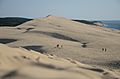 Dune du Pyla 2014 3
