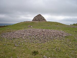 Dunkery Beacon - geograph.org.uk - 237582