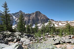 Eiffel Lake Hike Alberta Canada (19306300609)