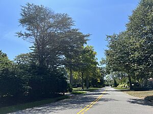 Everit Avenue, Hewlett Harbor, NY August 8, 2022