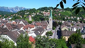 Feldkirch3