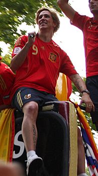 Fernando Torres Spain.jpg