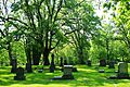 Fernwood Pioneer Cemetery Newberg Oregon