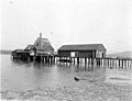 Fish fertilizer plant of the Robinson Fish Co, Anacortes, Washington, April 22, 1910 (COBB 17)