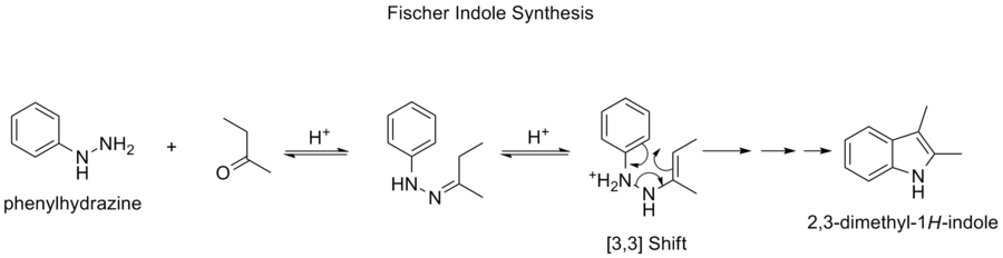 The Fischer indole synthesis