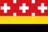 Flag of Aiguafreda