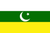 Flag of Pakistan Awami Raj Party.svg