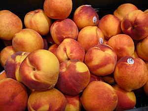 FuzzyPeachesDisplay