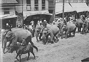 Geneseo, Illinois downtown elephants, 1890