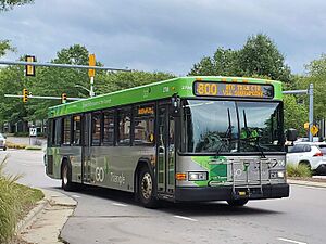 GoTriangle2706 800Short