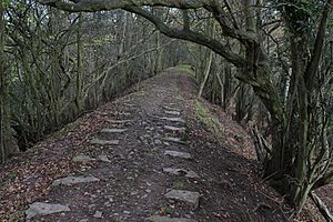 Grosmont Railway embankment at Werngifford