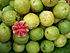 Guava bangalore.jpg