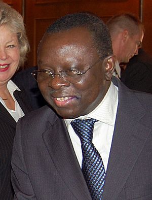 Guinea Bissaus interim President Raimundo Pereira (cropped)