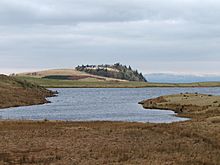 Harelaw Dam - geograph.org.uk - 139511