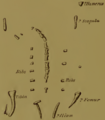 Hortalotarsus holotype, before blasting