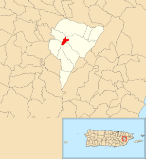 Location of Juncos barrio-pueblo within the municipality of Juncos shown in red