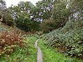 Knapton Cutting (3)