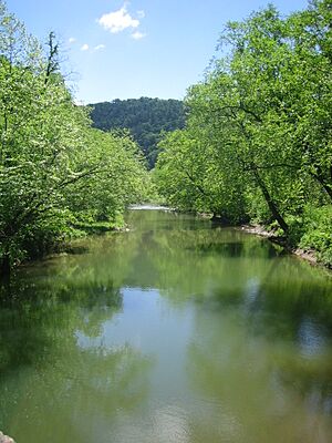 Little Cacapon River Neals Run WV 2005 05 26 02