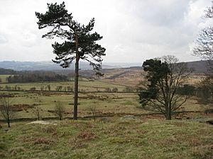 Longshaw Estate View from A6187 - geograph.org.uk - 752272