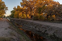 Looking Southwest down the Los Padillas Drain. The South Valley is home to many such irrigation ditches.