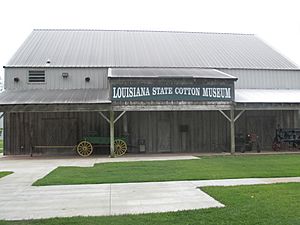 Louisiana State Cotton Museum in 2013