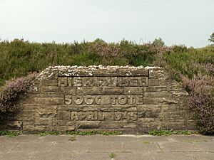 Mass grave at Bergen-Belsen