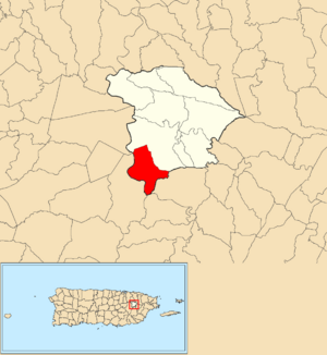 Location of Navarro within the municipality of Gurabo shown in red