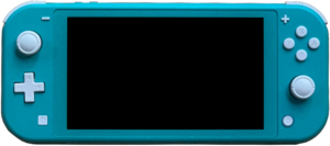 Nintendo Switch Lite representation