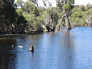 OIC lake carine wildlife