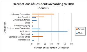 Occupations of Residents According to the 1881 Census
