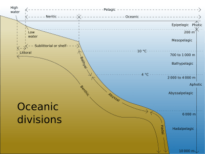Oceanic divisions