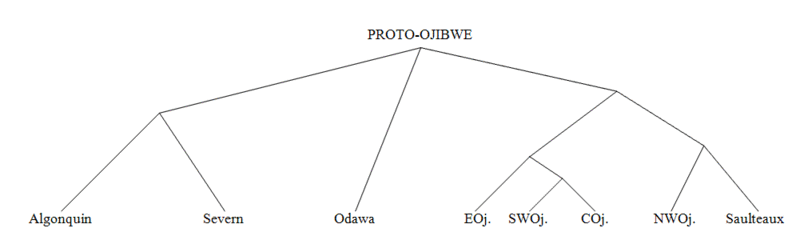 Ojibwetree1