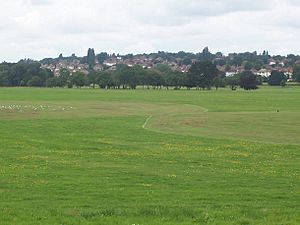 Perry Hall Playing Fields - geograph.org.uk - 35662.jpg