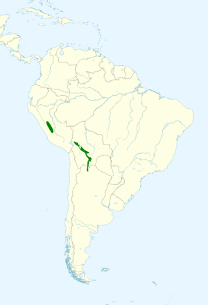 Picumnus dorbignyanus map.svg