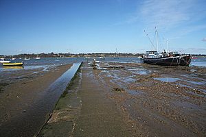 Pin Mill Hard and the Grindle - geograph.org.uk - 720586