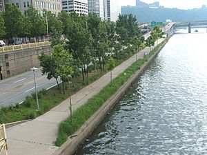 Pittsburgh alleghenyriverpark.jpg