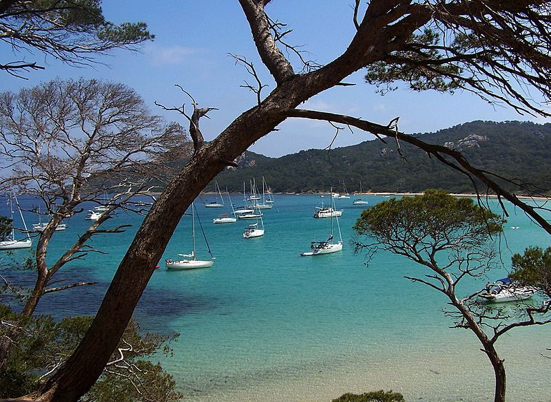 Plage-de-la-courtade