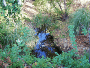 Refugio Creek1