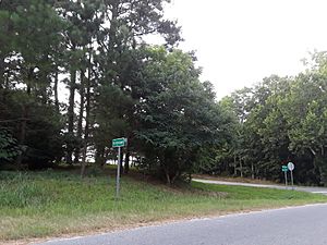 Road sign entering Bridgetown, Virginia