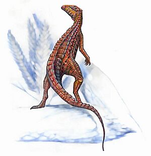 Scutellosaurus1