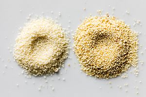 Semolina grains