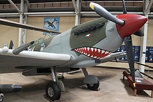 Supermarine Spitfire Mk VIII (Replica)
