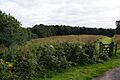 The site of the Roman fort, Doune - geograph.org.uk - 3609851