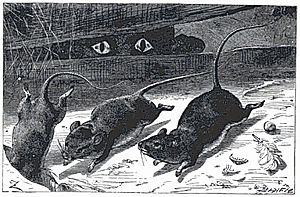 Three Little Mice by Johann Baptist Zwecker (1814–1876)