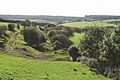Treneglos - towards Treskellow - geograph.org.uk - 556976