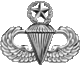 US Army Airborne master parachutist badge.gif
