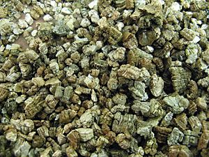 Vermiculite1