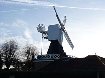 View Windmill Wimbledon Common