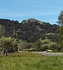 View of Lion's Peak in San Martin, California, April 2017 (cropped).jpg